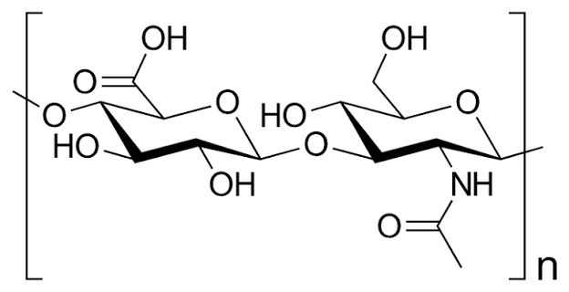 Hyaluronic Acid