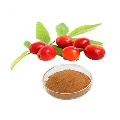 Rosehip Powder